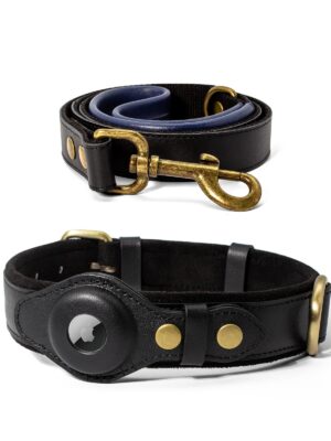 Genuine Leather Airtag Dog Collar and Leash Set